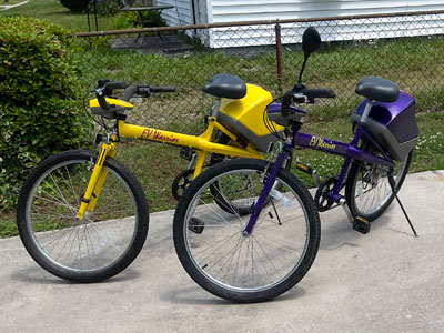 Ev warrior electric bike shop for sale