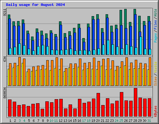Daily usage for August 2024