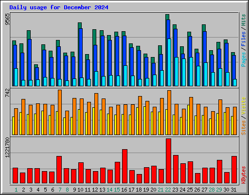 Daily usage for December 2024