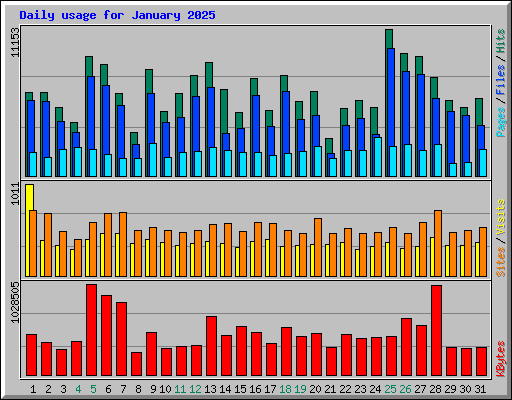 Daily usage for January 2025