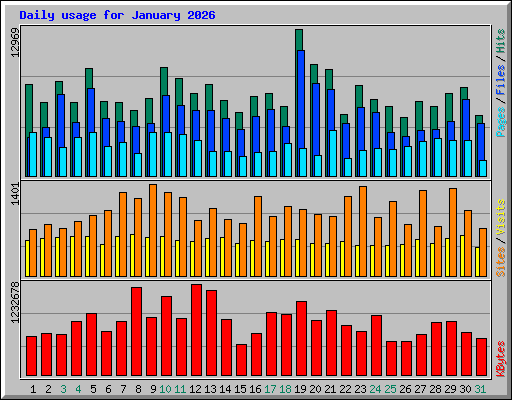 Daily usage for January 2026