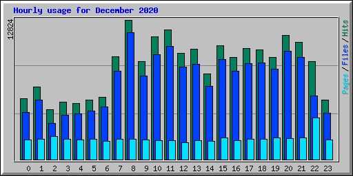 Hourly usage for December 2020