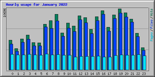 Hourly usage for January 2022