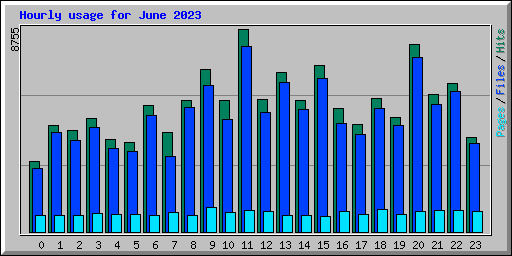 Hourly usage for June 2023