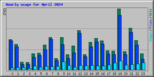 Hourly usage for April 2024