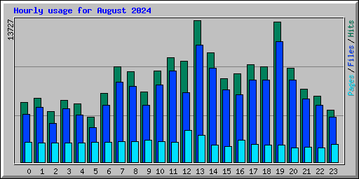 Hourly usage for August 2024