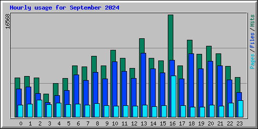 Hourly usage for September 2024