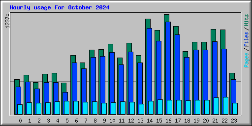 Hourly usage for October 2024
