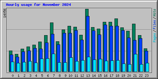 Hourly usage for November 2024