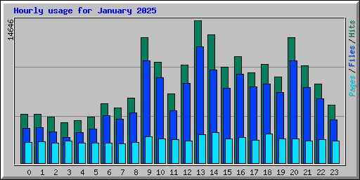 Hourly usage for January 2025
