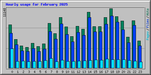 Hourly usage for February 2025