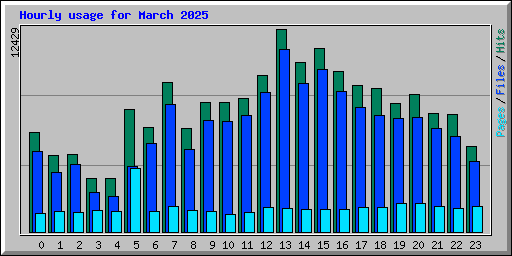 Hourly usage for March 2025