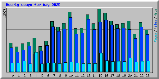 Hourly usage for May 2025