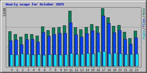 Hourly usage for October 2025