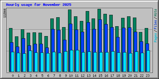Hourly usage for November 2025
