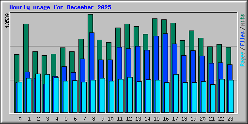 Hourly usage for December 2025