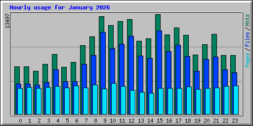 Hourly usage for January 2026