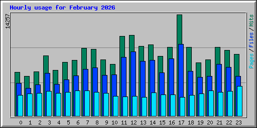 Hourly usage for February 2026