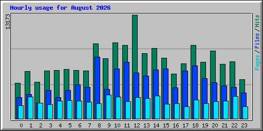 Hourly usage for August 2026